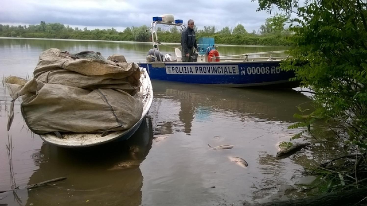pescatori di frodo rovigo provincia (4)