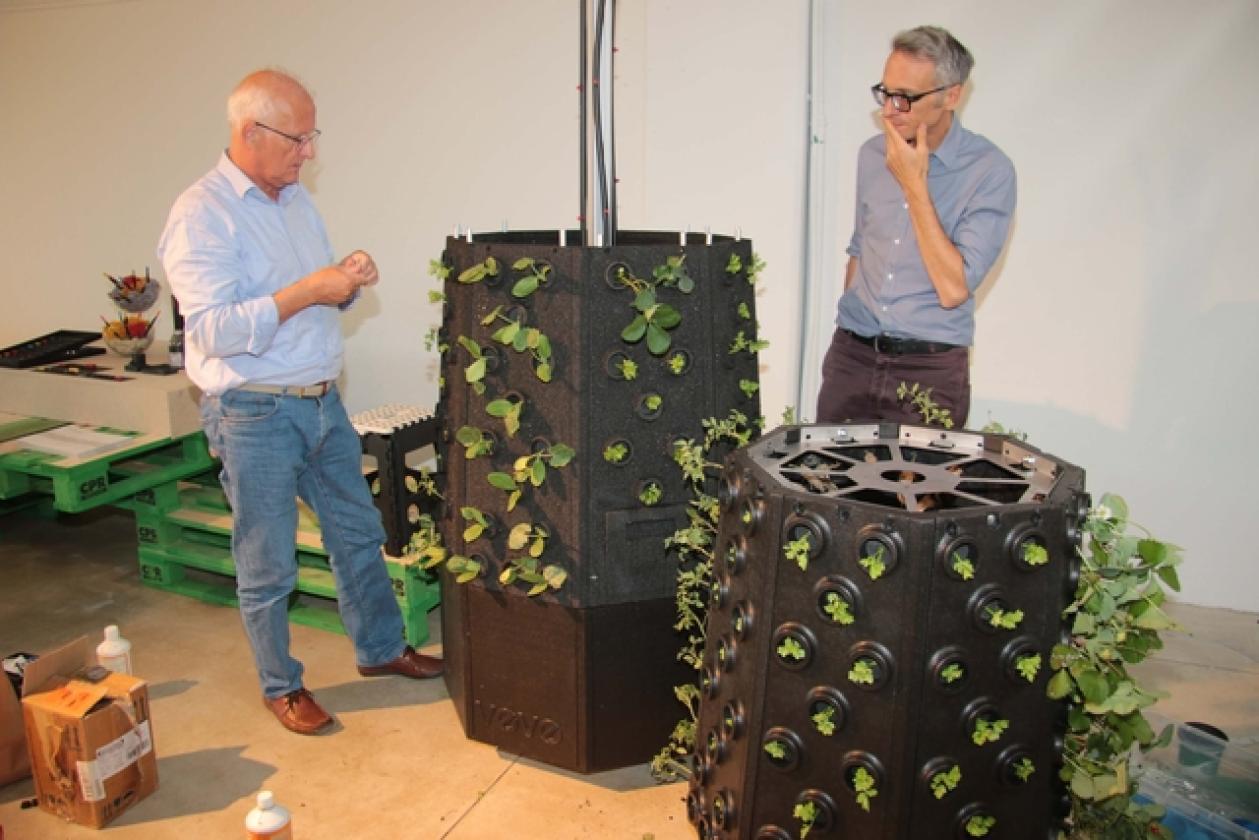 EcoDesign Porto Viro 15