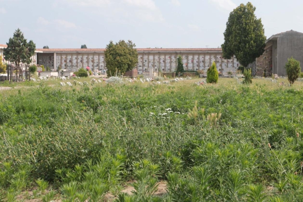 Cimitero 10
