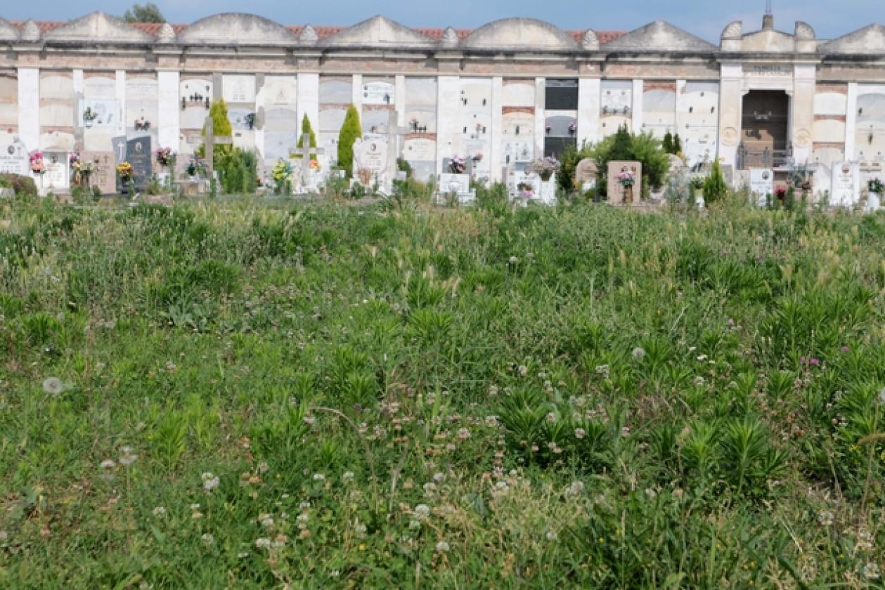 Cimitero 12