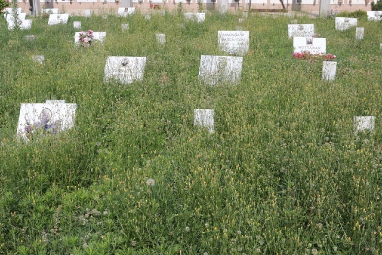 Cimitero 13