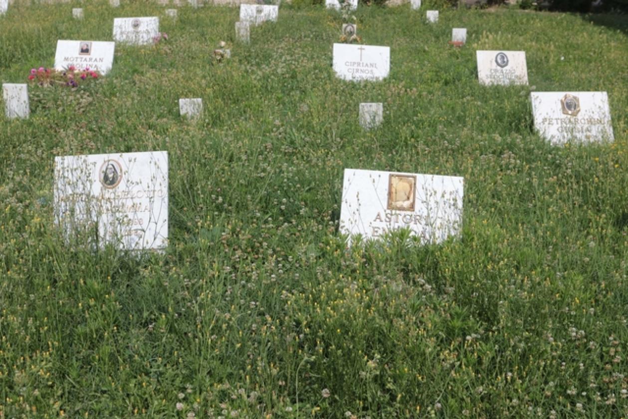 Cimitero 14