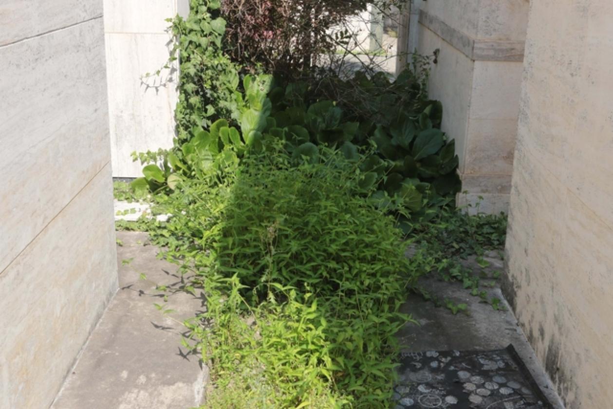 Cimitero 2