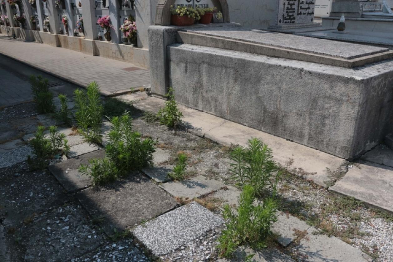 Cimitero 3
