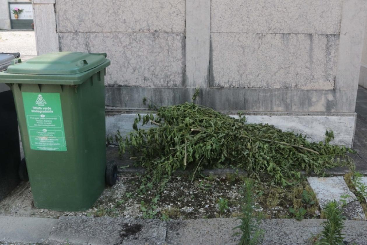 Cimitero 4