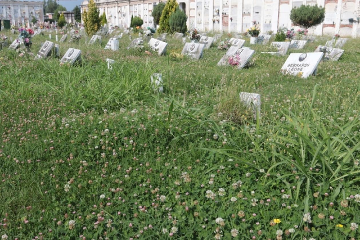 Cimitero 6