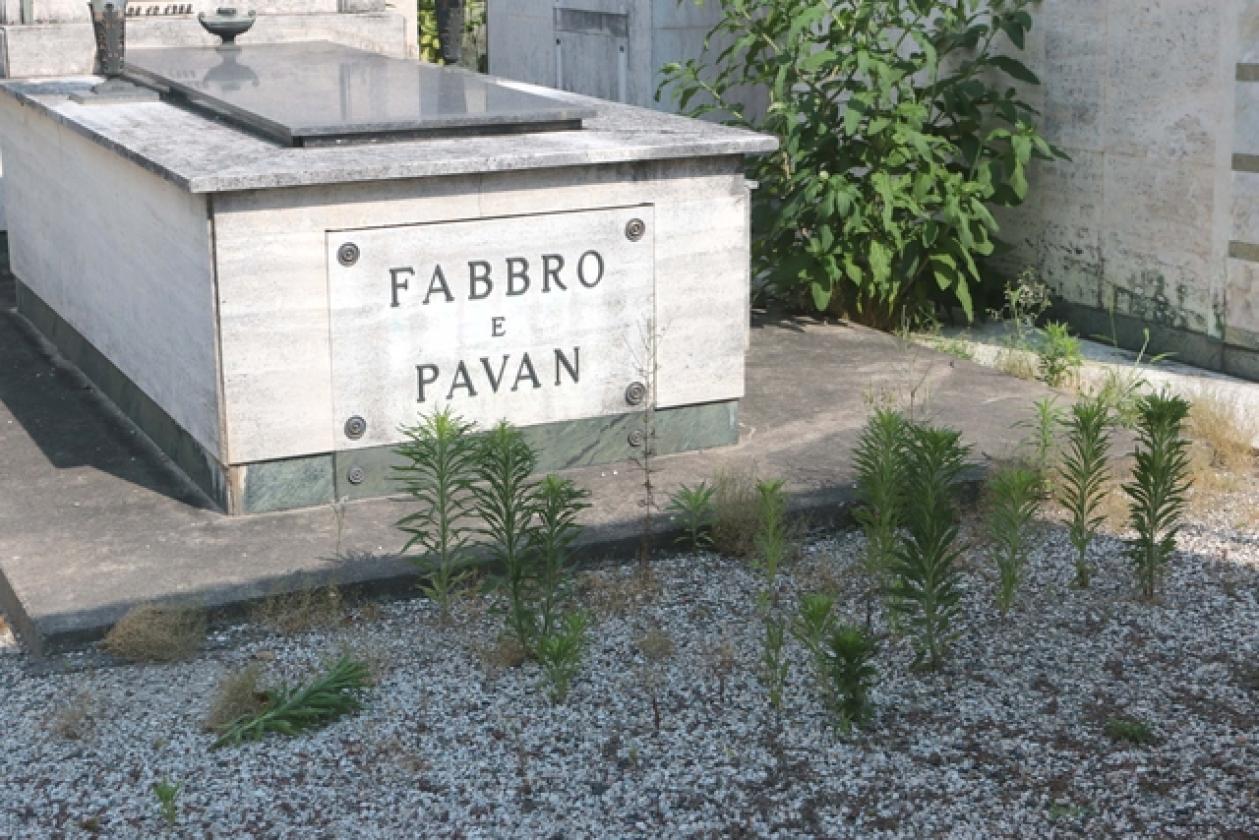 Cimitero