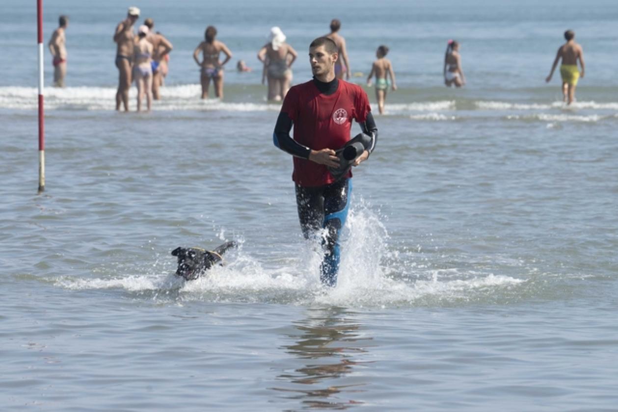 Albarella dimostrazione Safe bagnini cani (12)