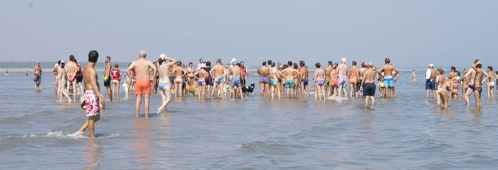 Albarella dimostrazione Safe bagnini cani (13)