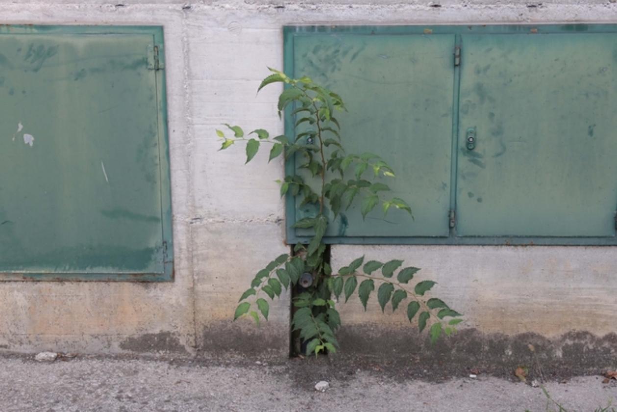 Via Galvani San Pio X 2