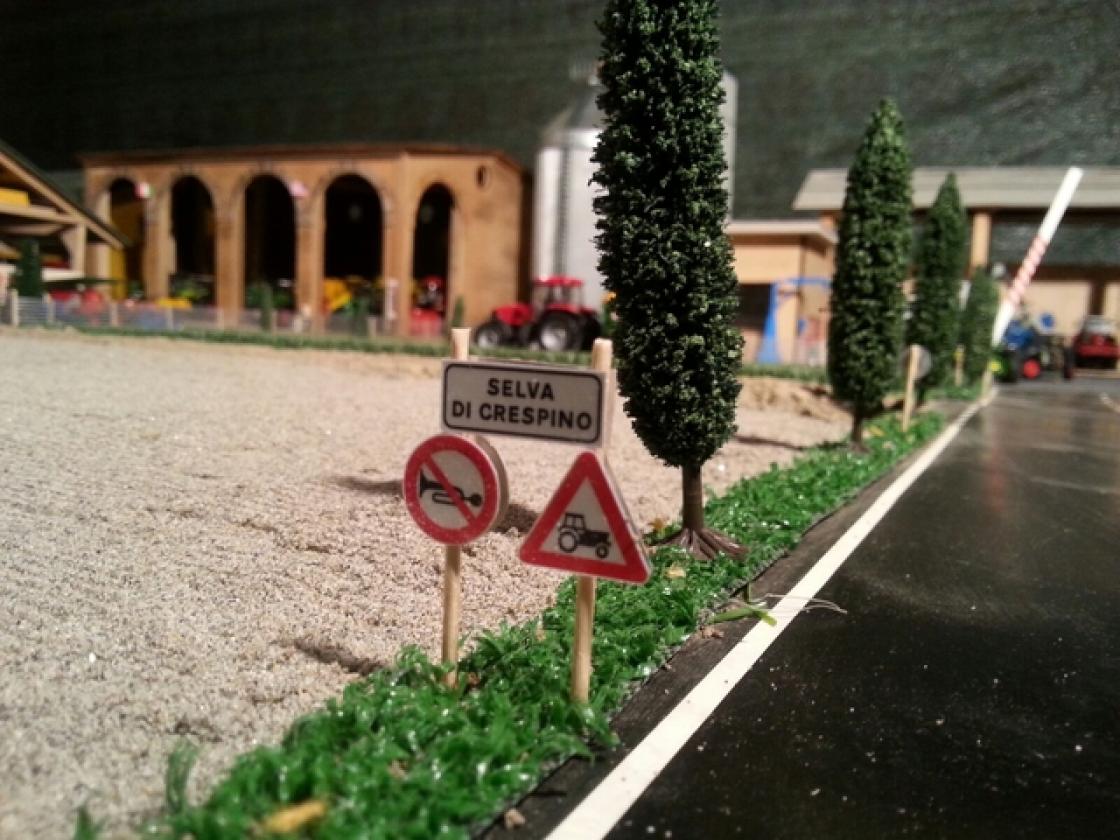 Modellismo agricolo crespino (8)