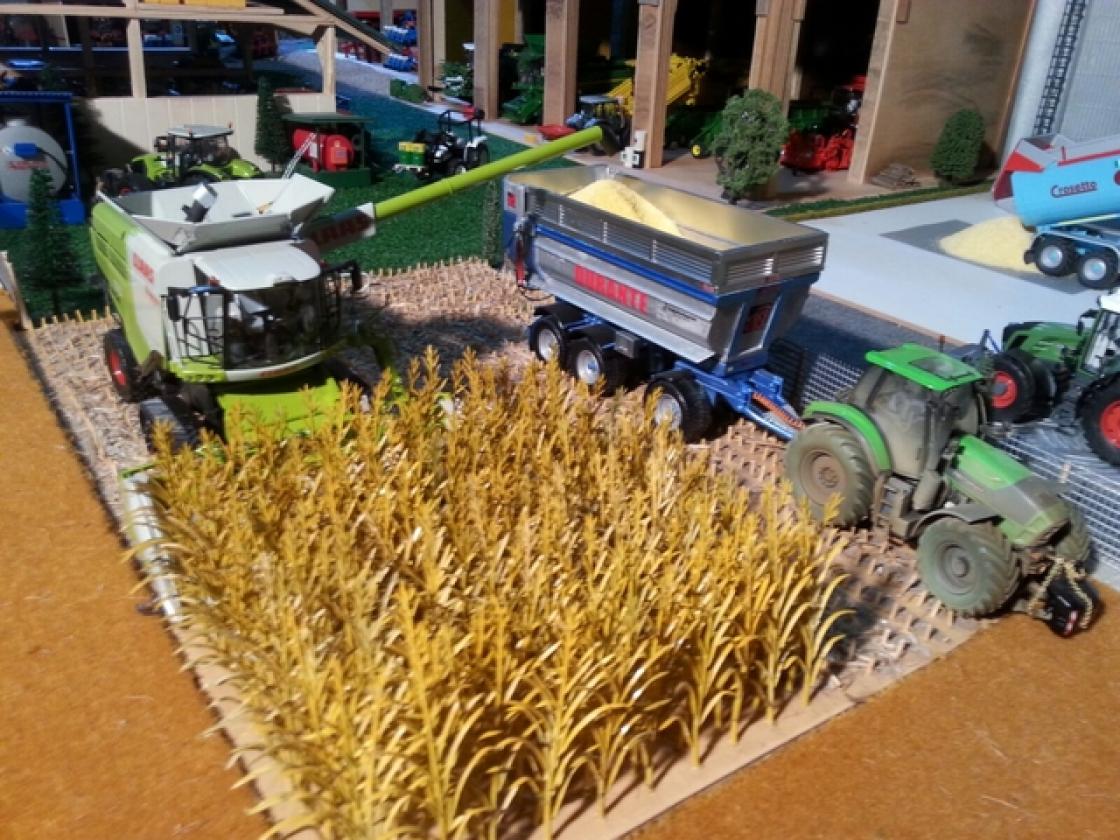 Modellismo agricolo crespino (31)