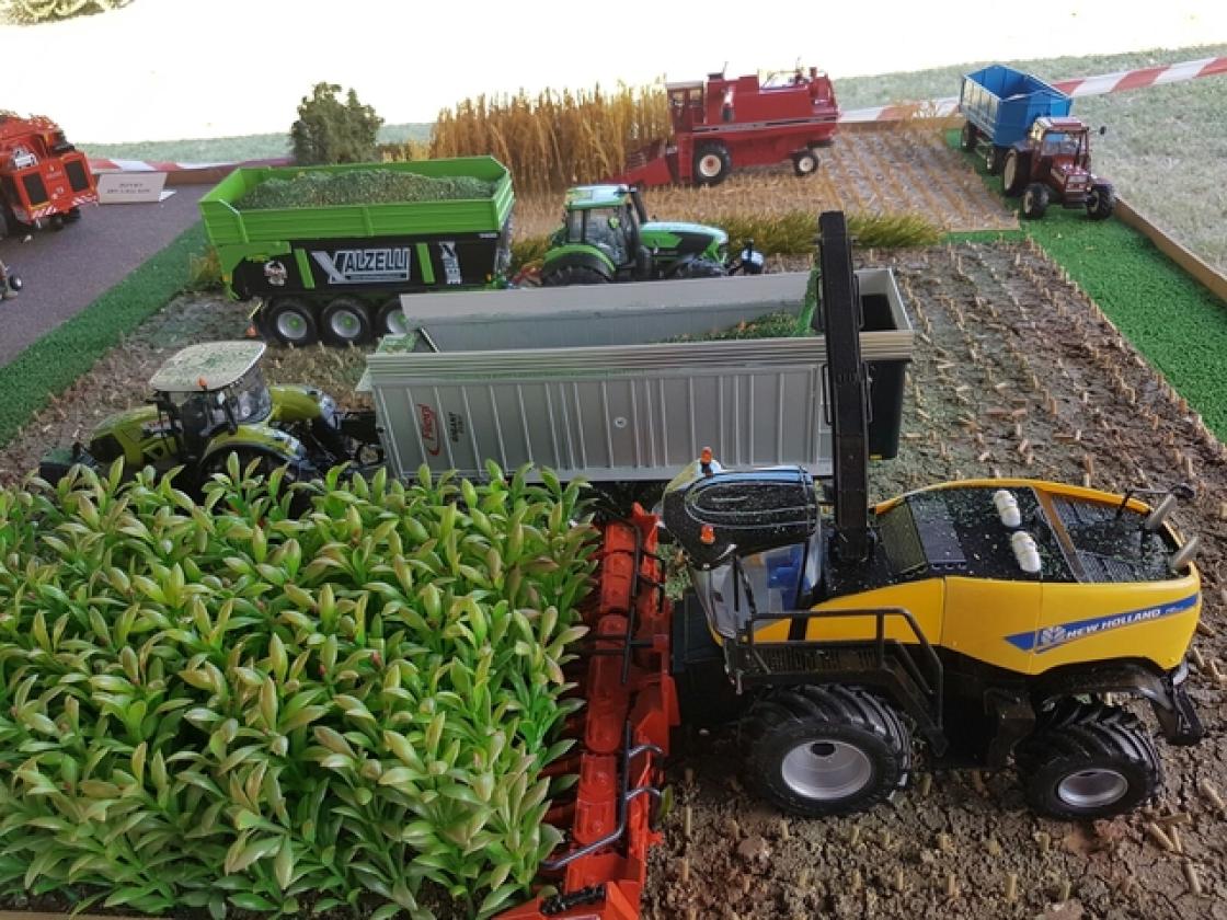 Modellismo agricolo crespino (36)