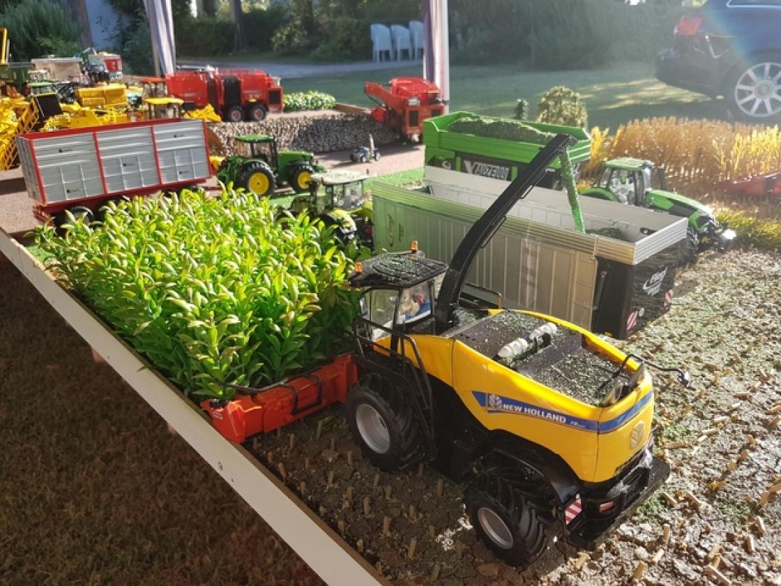 Modellismo agricolo crespino (40)