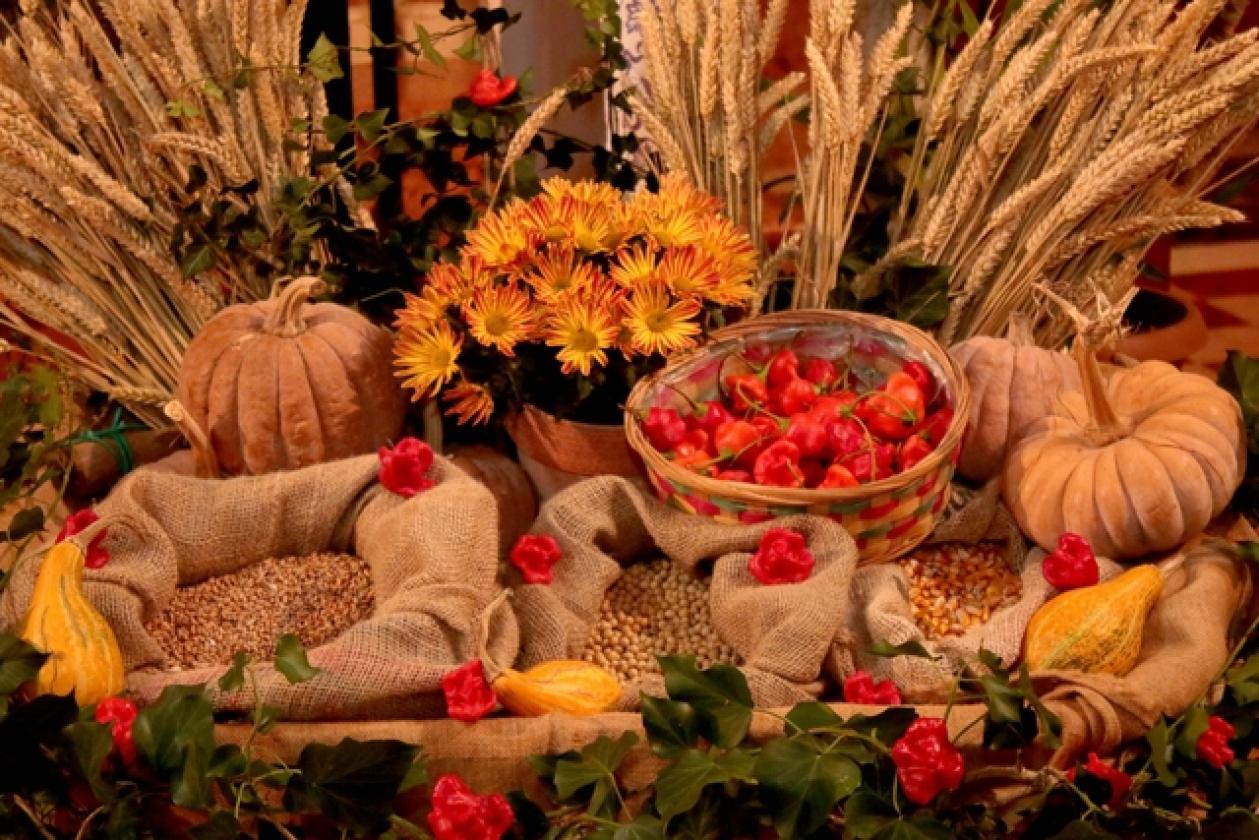 Festa del Ringraziamento Selva di Crespino 11