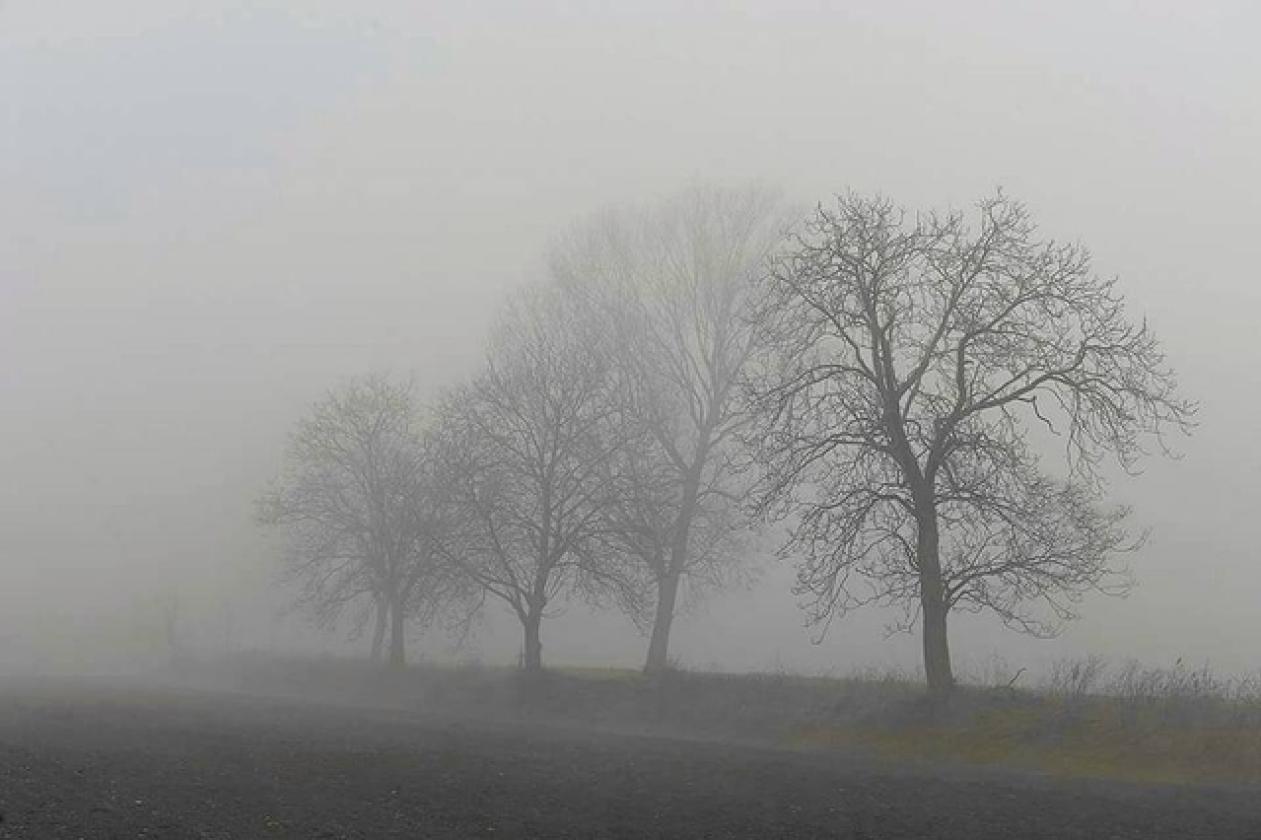 nebbia (5)