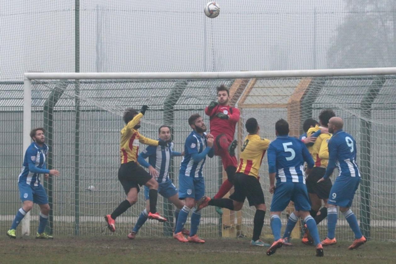 Delta Rovigo vs Poggibonsi 18