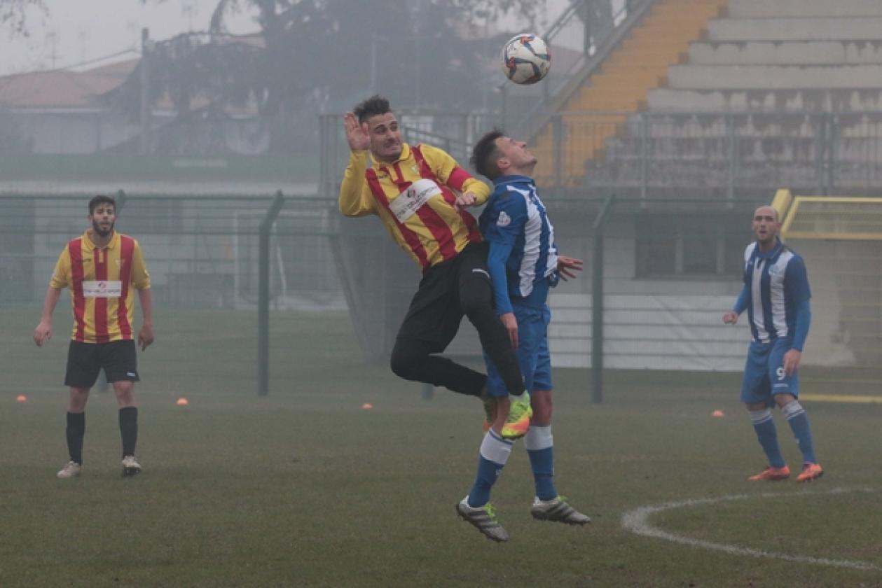 Delta Rovigo vs Poggibonsi 22