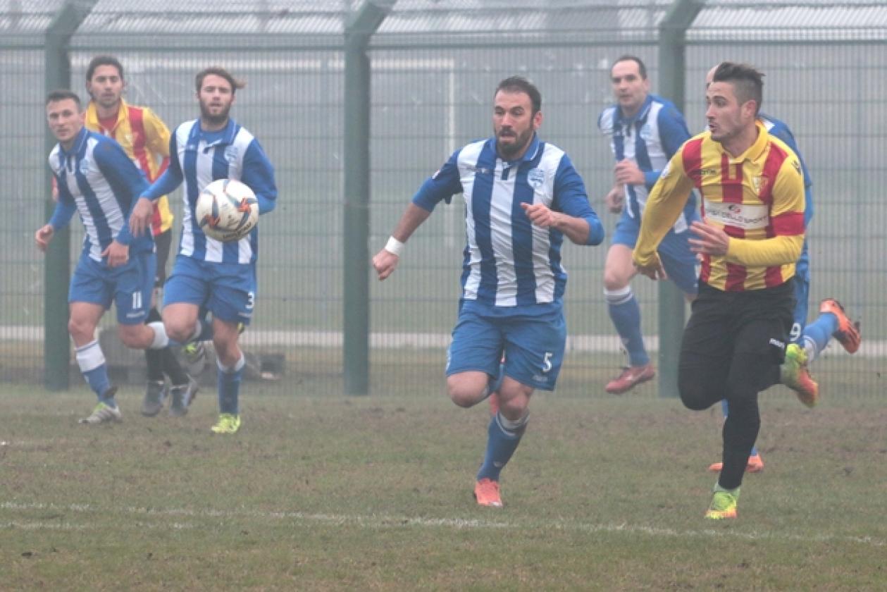 Delta Rovigo vs Poggibonsi 23