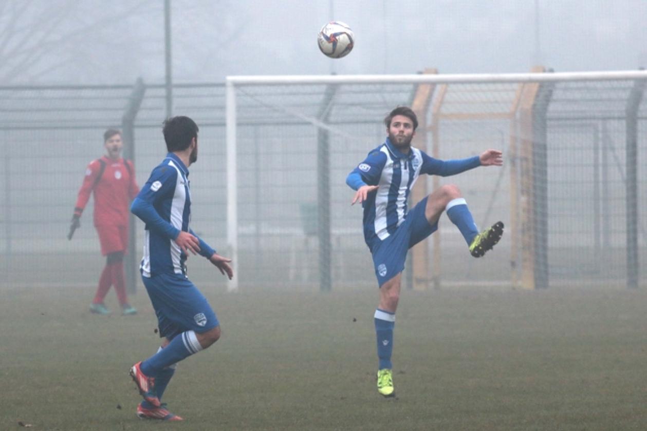 Delta Rovigo vs Poggibonsi 3