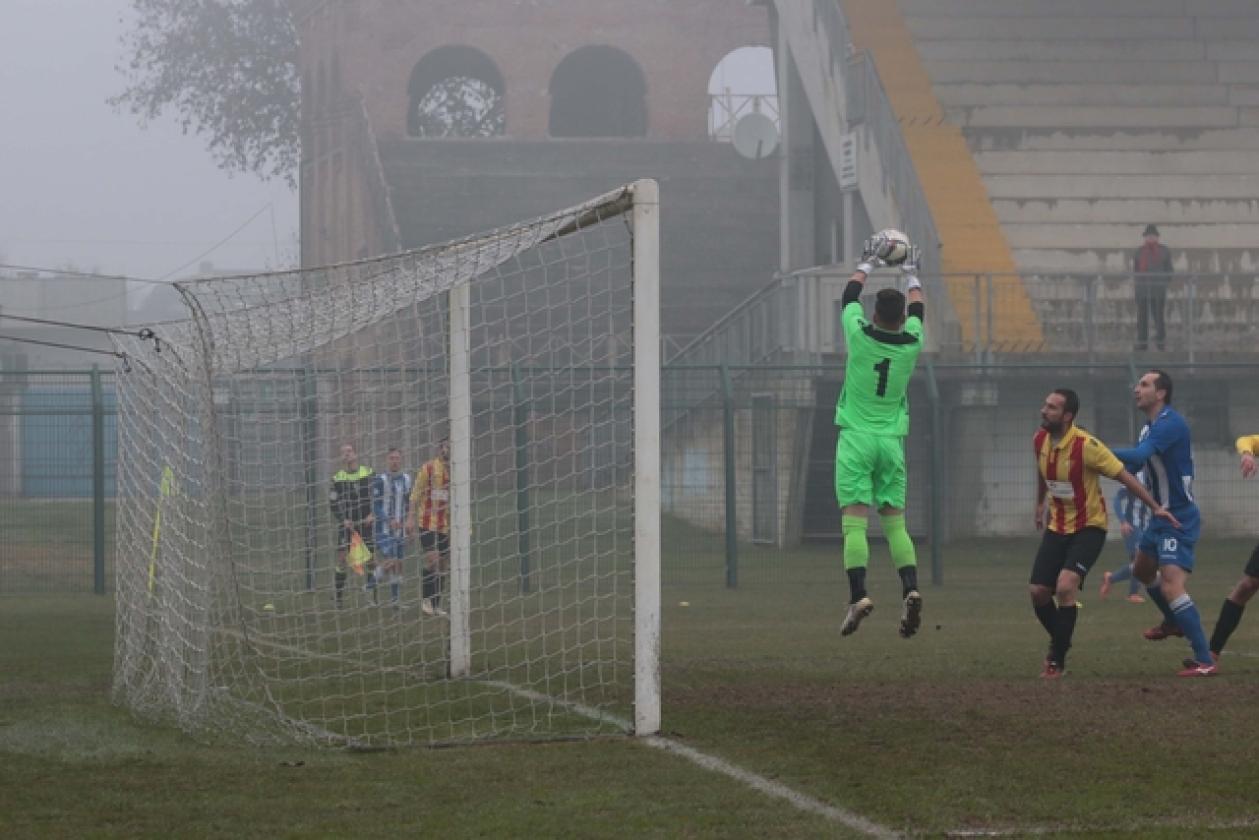 Delta Rovigo vs Poggibonsi 4