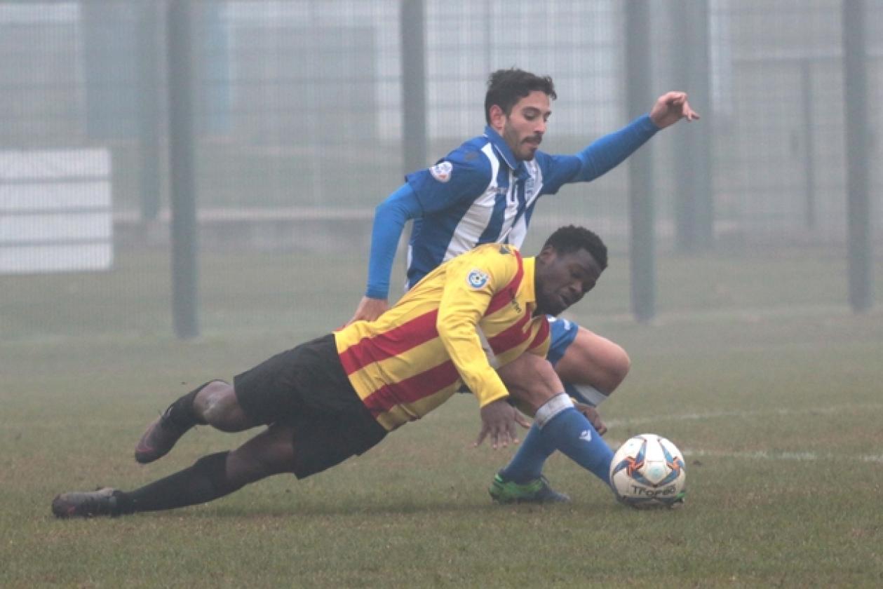 Delta Rovigo vs Poggibonsi 8