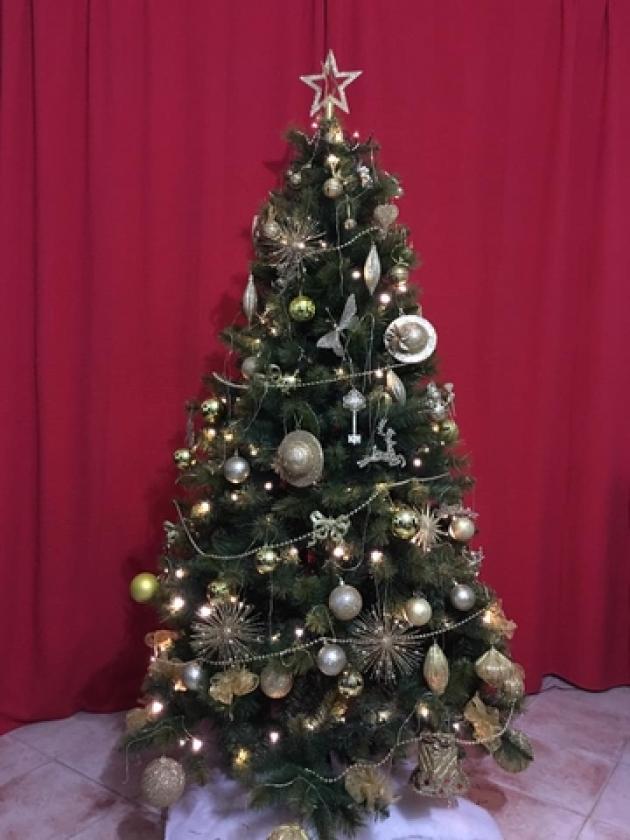 albero di natale (8)