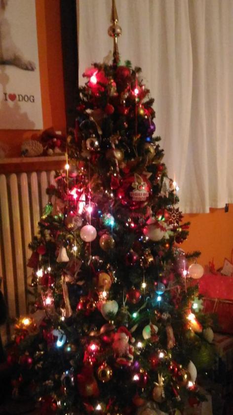 albero  2