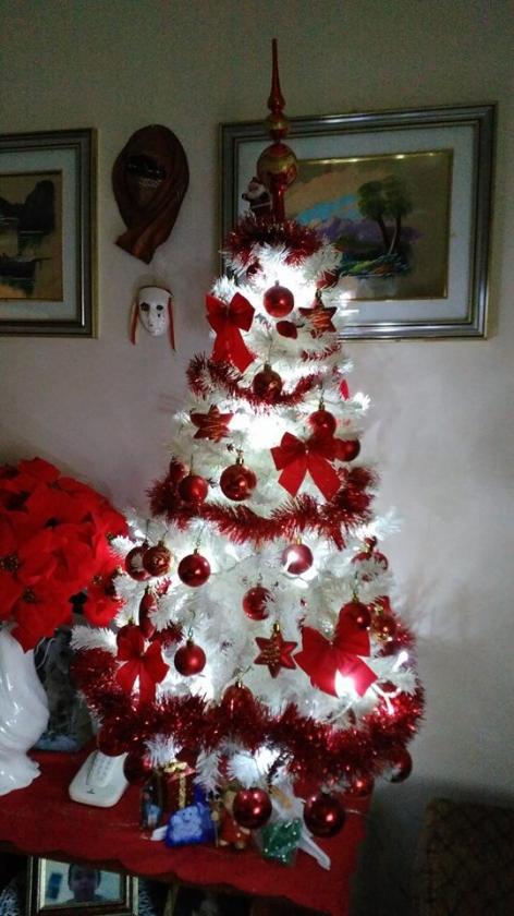 albero 1 (1)