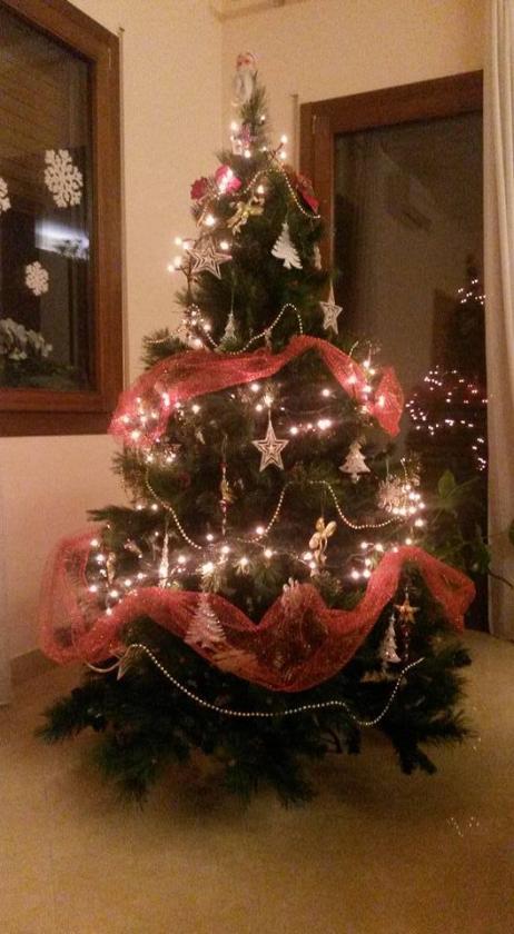 albero 2(1)