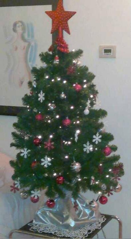 albero di natale (3)