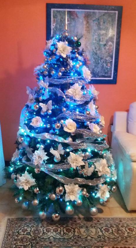 albero1 (2)