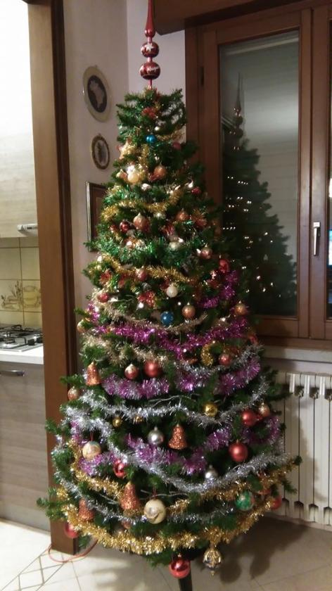 albero1 (4)