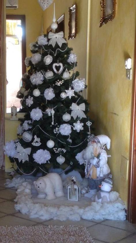 albero1 (5)
