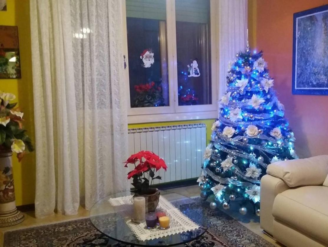 albero1 (6)