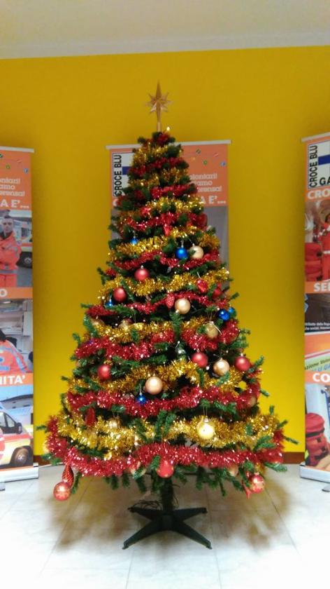 albero1