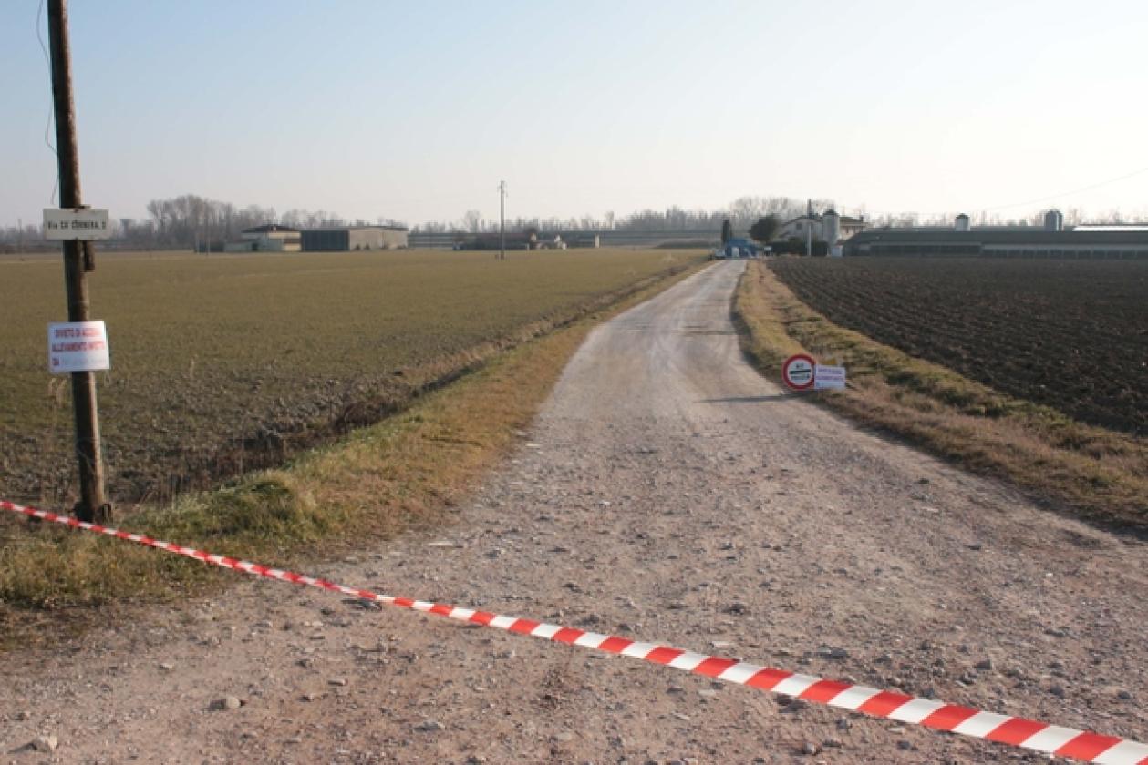 Porto Viro Azienda Agricola Belfo 1