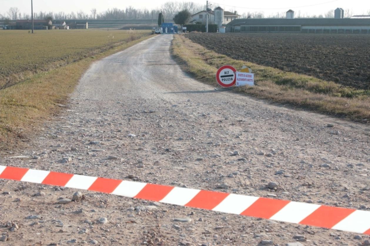 Porto Viro Azienda Agricola Belfo 10