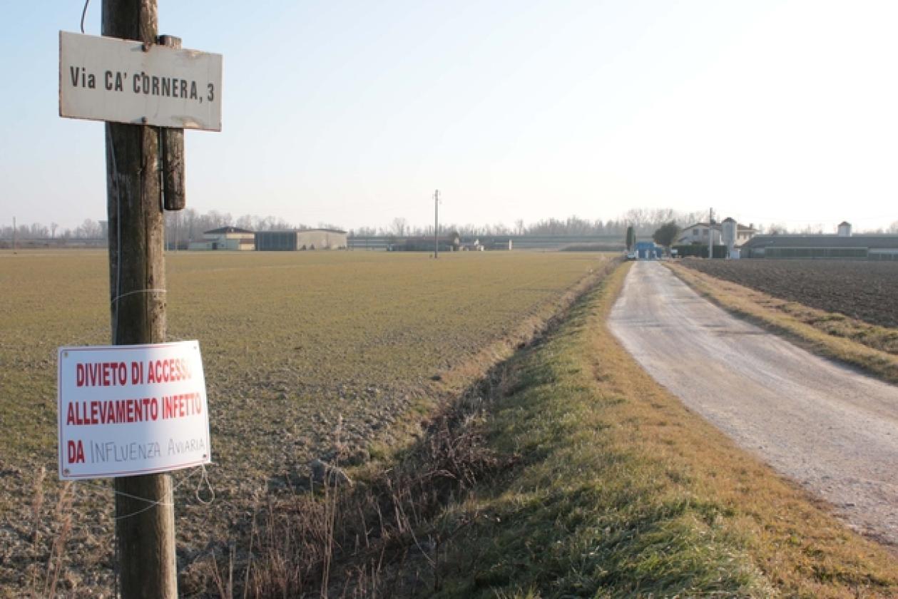 Porto Viro Azienda Agricola Belfo 11