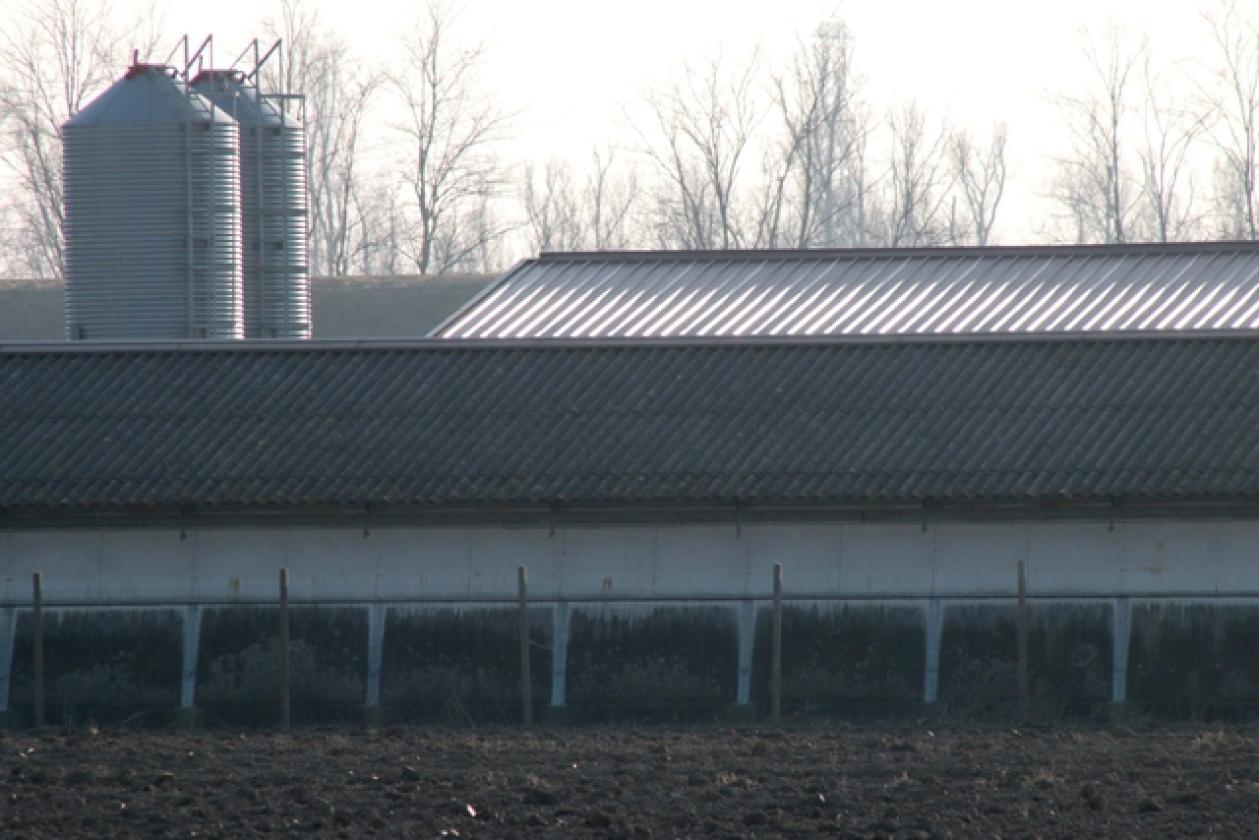 Porto Viro Azienda Agricola Belfo 12