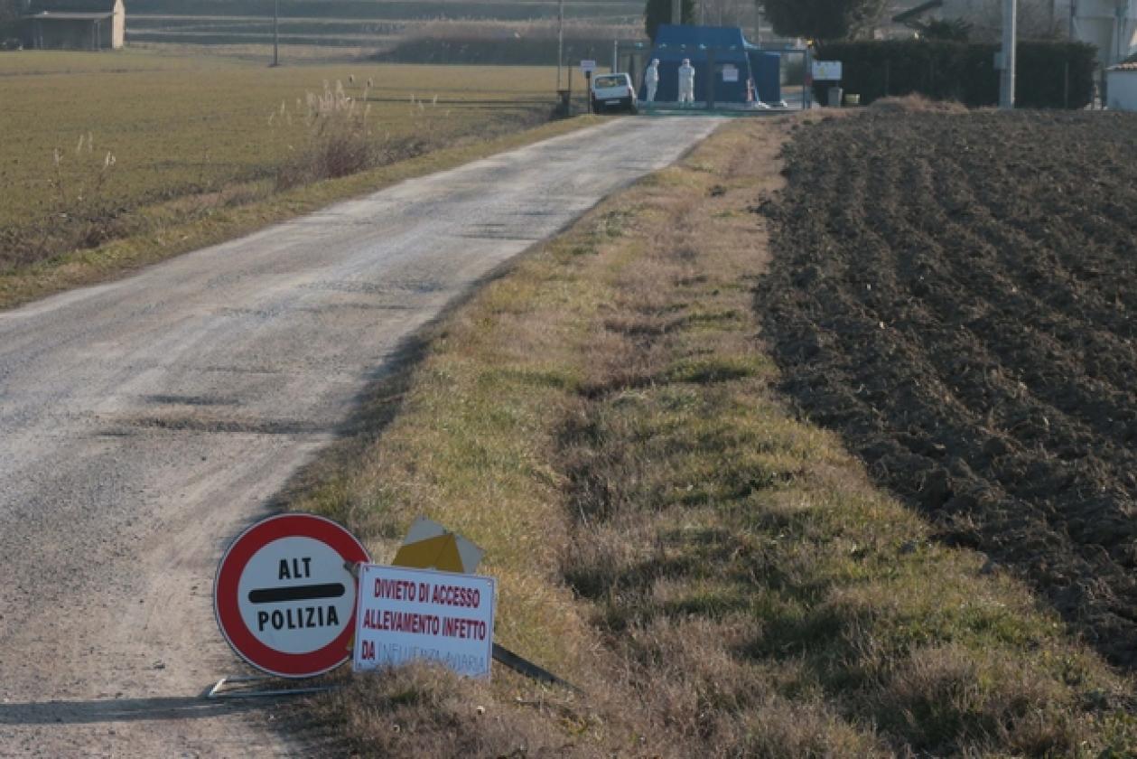 Porto Viro Azienda Agricola Belfo 13