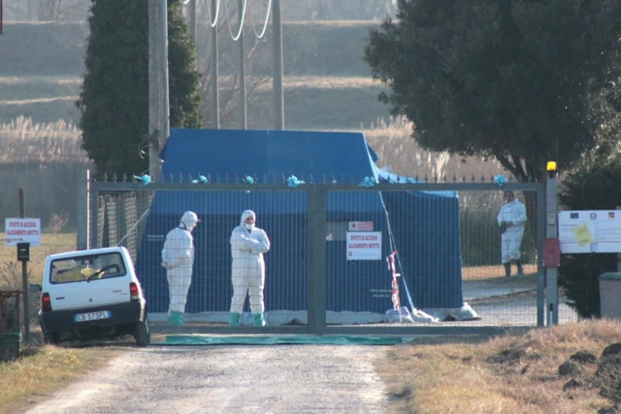 Porto Viro Azienda Agricola Belfo 14