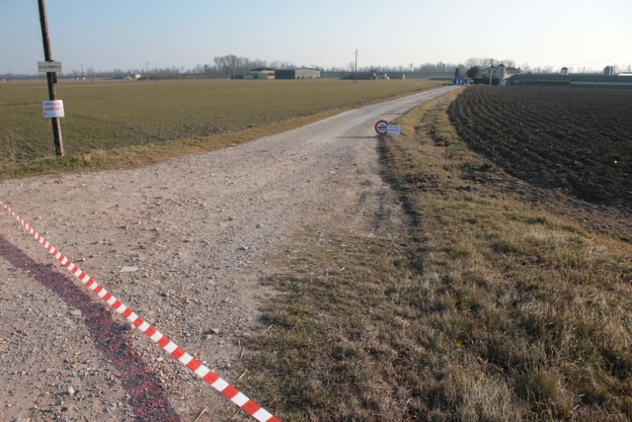 Porto Viro Azienda Agricola Belfo 16
