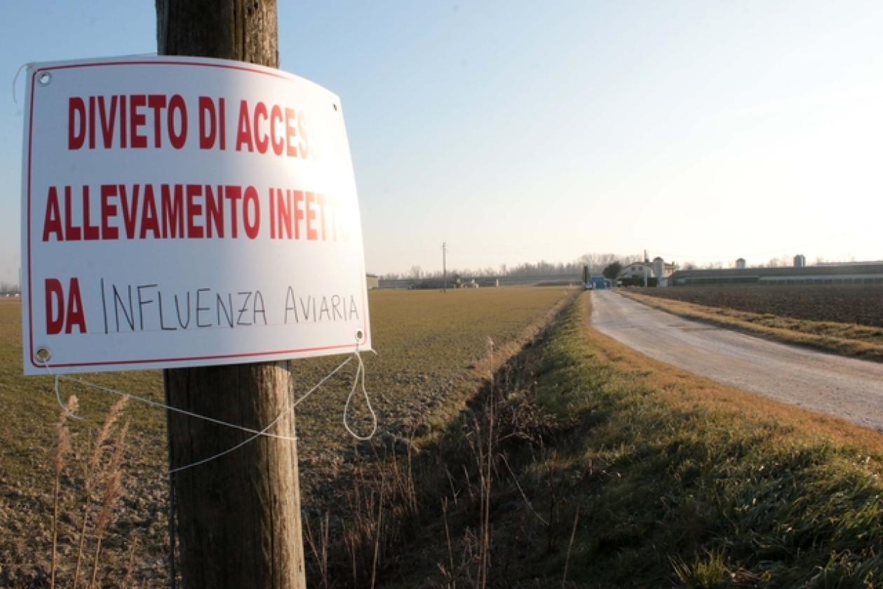Porto Viro Azienda Agricola Belfo 2