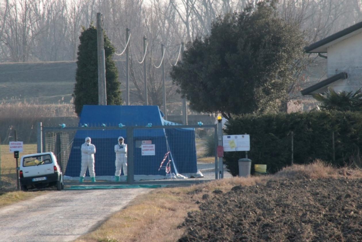 Porto Viro Azienda Agricola Belfo 3