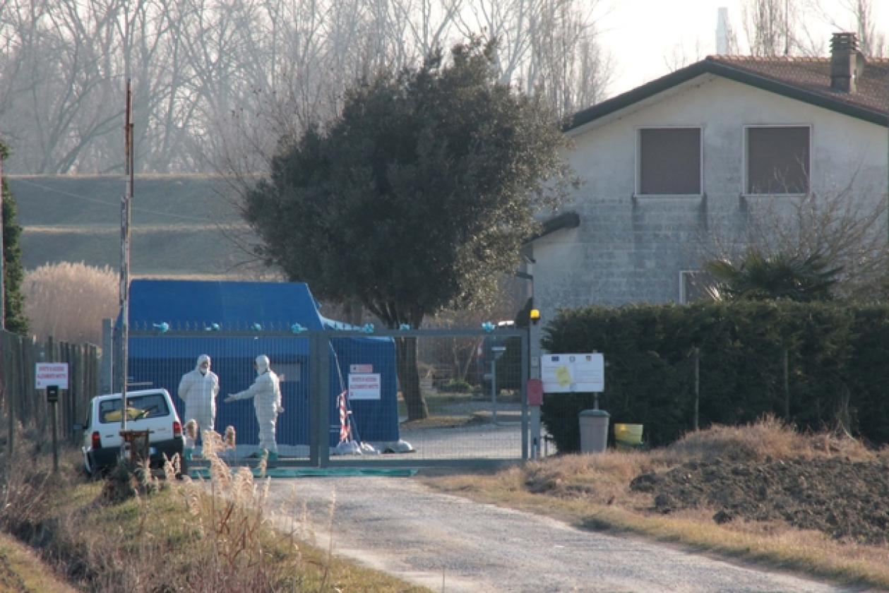 Porto Viro Azienda Agricola Belfo 4