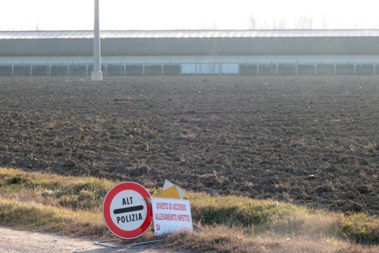 Porto Viro Azienda Agricola Belfo 5