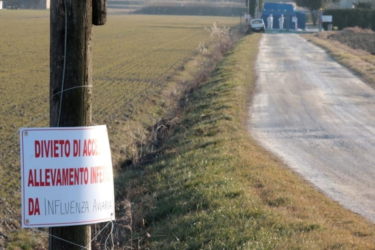 Porto Viro Azienda Agricola Belfo 6