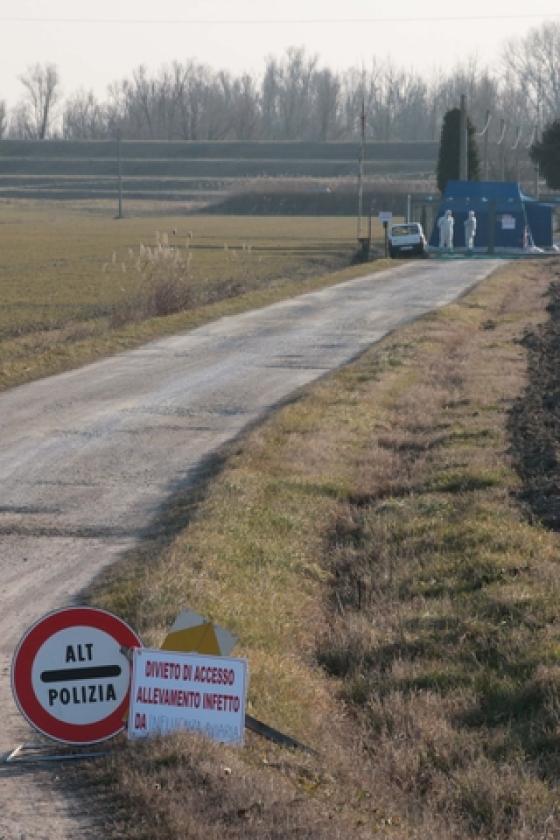 Porto Viro Azienda Agricola Belfo 7
