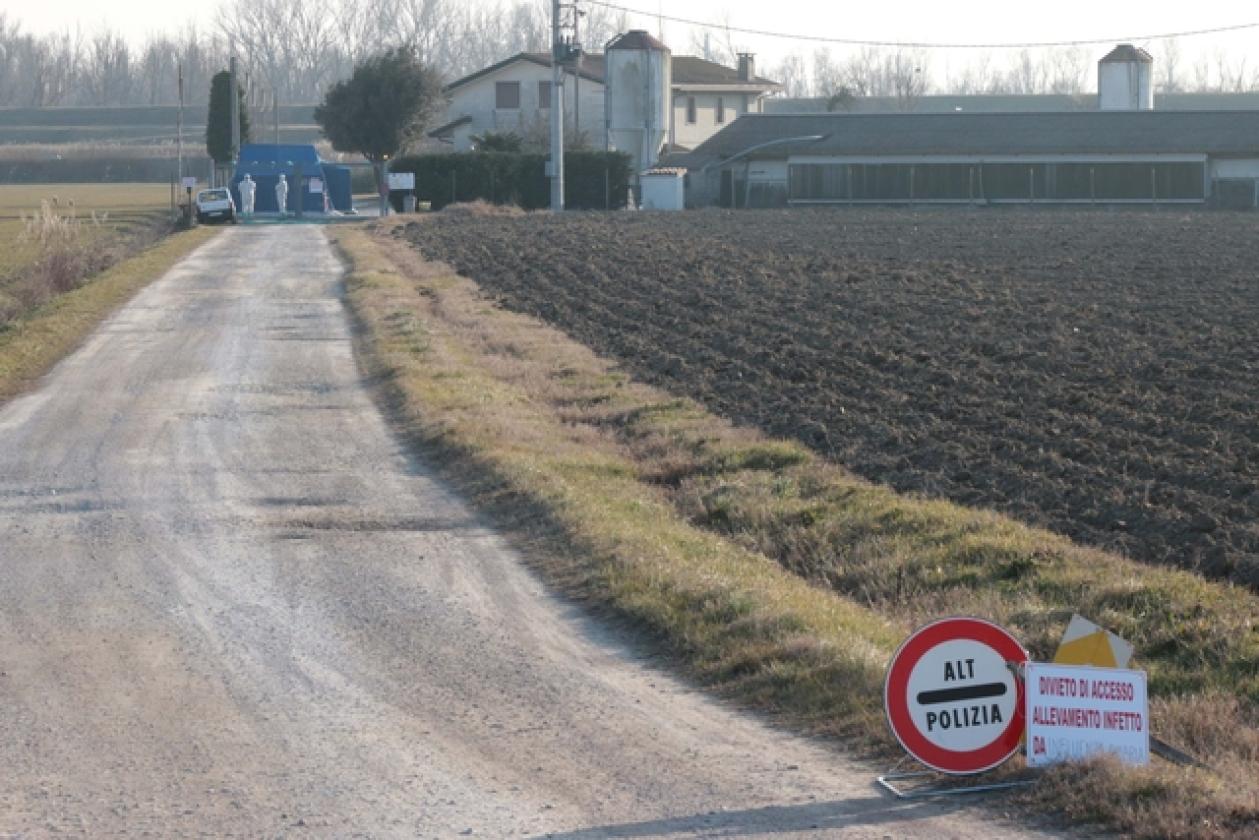 Porto Viro Azienda Agricola Belfo 8